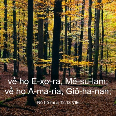 Picture 03 - Nê-hê-mi-a 12:13 VIE - về họ E-xơ-ra, Mê-su-lam; về họ - Bible Verse Picture