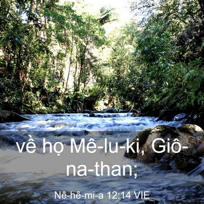 Picture 03 - Nê-hê-mi-a 12:14 VIE - về họ Mê-lu-ki, - Bible Verse Picture