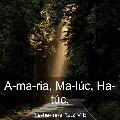Picture 03 - Nê-hê-mi-a 12:2 VIE - A-ma-ria, Ma-lúc, - Bible Verse Picture
