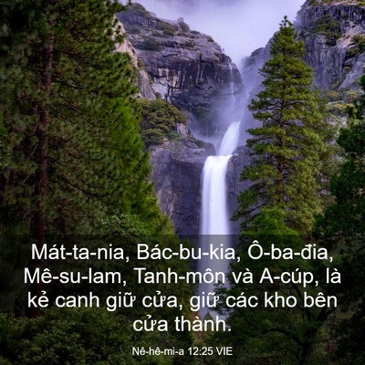 Picture 03 - Nê-hê-mi-a 12:25 VIE - Mát-ta-nia, Bác-bu-kia, Ô-ba-đia, Mê-su-lam, - Bible Verse Picture