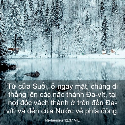 Picture 03 - Nê-hê-mi-a 12:37 VIE - Từ cửa Suối, ở ngay mặt, chúng đi - Bible Verse Picture