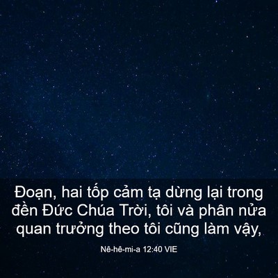 Picture 03 - Nê-hê-mi-a 12:40 VIE - Đoạn, hai tốp cảm tạ dừng lại trong - Bible Verse Picture