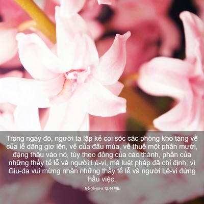 Picture 03 - Nê-hê-mi-a 12:44 VIE - Trong ngày đó, người ta lập kẻ coi sóc - Bible Verse Picture