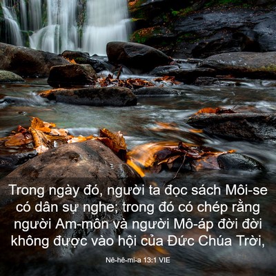 Picture 03 - Nê-hê-mi-a 13:1 VIE - Trong ngày đó, người ta đọc sách - Bible Verse Picture