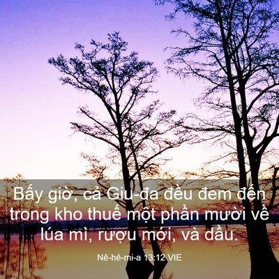 Picture 03 - Nê-hê-mi-a 13:12 VIE - Bấy giờ, cả Giu-đa đều đem đến - Bible Verse Picture