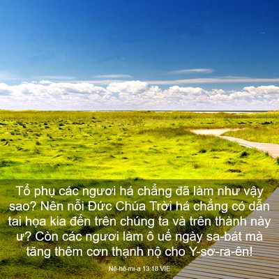 Picture 03 - Nê-hê-mi-a 13:18 VIE - Tổ phụ các ngươi há chẳng đã làm - Bible Verse Picture