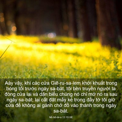 Picture 03 - Nê-hê-mi-a 13:19 VIE - Aáy vậy, khi các cửa Giê-ru-sa-lem khởi - Bible Verse Picture