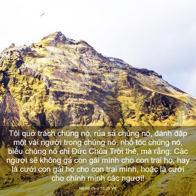 Picture 03 - Nê-hê-mi-a 13:25 VIE - Tôi quở trách chúng nó, rủa sả chúng - Bible Verse Picture