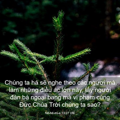 Picture 03 - Nê-hê-mi-a 13:27 VIE - Chúng ta há sẽ nghe theo các ngươi mà - Bible Verse Picture