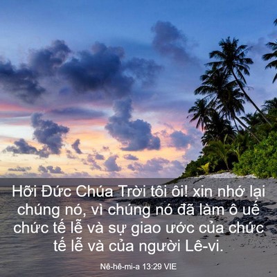 Picture 03 - Nê-hê-mi-a 13:29 VIE - Hỡi Đức Chúa Trời tôi ôi! xin nhớ - Bible Verse Picture