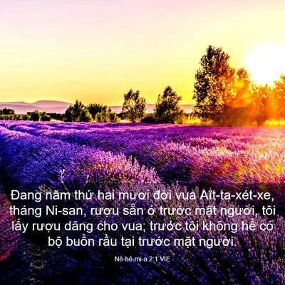 Picture 03 - Nê-hê-mi-a 2:1 VIE - Đang năm thứ hai mươi đời vua - Bible Verse Picture