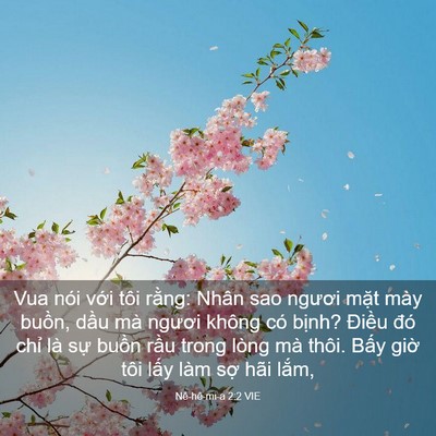 Picture 03 - Nê-hê-mi-a 2:2 VIE - Vua nói với tôi rằng: Nhân sao ngươi - Bible Verse Picture