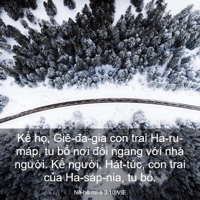 Picture 03 - Nê-hê-mi-a 3:10 VIE - Kế họ, Giê-đa-gia con trai Ha-ru-máp, tu - Bible Verse Picture