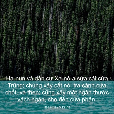 Picture 03 - Nê-hê-mi-a 3:13 VIE - Ha-nun và dân cư Xa-nô-a sửa cái cửa - Bible Verse Picture