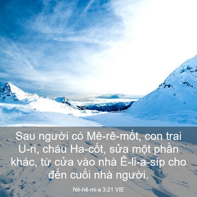 Picture 03 - Nê-hê-mi-a 3:21 VIE - Sau người có Mê-rê-mốt, con trai U-ri, - Bible Verse Picture