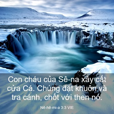Picture 03 - Nê-hê-mi-a 3:3 VIE - Con cháu của Sê-na xây cất cửa Cá. - Bible Verse Picture