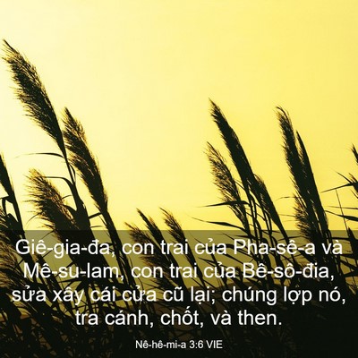 Picture 03 - Nê-hê-mi-a 3:6 VIE - Giê-gia-đa, con trai của Pha-sê-a và - Bible Verse Picture