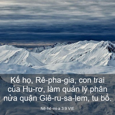 Picture 03 - Nê-hê-mi-a 3:9 VIE - Kế họ, Rê-pha-gia, con trai của Hu-rơ, - Bible Verse Picture