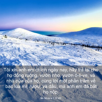 Picture 03 - Nê-hê-mi-a 5:11 VIE - Tôi xin anh em chính ngày nay, hãy trả - Bible Verse Picture