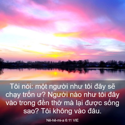 Picture 03 - Nê-hê-mi-a 6:11 VIE - Tôi nói: một người như tôi đây sẽ - Bible Verse Picture