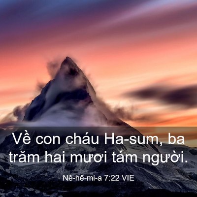 Picture 03 - Nê-hê-mi-a 7:22 VIE - Về con cháu Ha-sum, ba trăm hai mươi tám - Bible Verse Picture