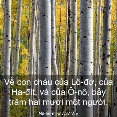 Picture 03 - Nê-hê-mi-a 7:37 VIE - Về con cháu của Lô-đơ, của Ha-đít, - Bible Verse Picture