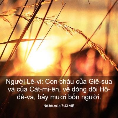 Picture 03 - Nê-hê-mi-a 7:43 VIE - Người Lê-vi: Con cháu của Giê-sua và - Bible Verse Picture