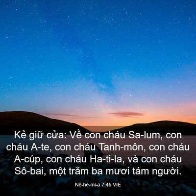 Picture 03 - Nê-hê-mi-a 7:45 VIE - Kẻ giữ cửa: Về con cháu Sa-lum, con - Bible Verse Picture