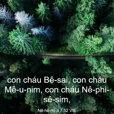 Picture 03 - Nê-hê-mi-a 7:52 VIE - con cháu Bê-sai, con cháu Mê-u-nim, con cháu - Bible Verse Picture