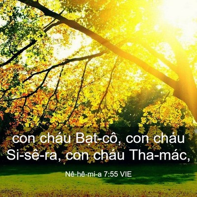 Picture 03 - Nê-hê-mi-a 7:55 VIE - con cháu Bạt-cô, con cháu Si-sê-ra, con - Bible Verse Picture