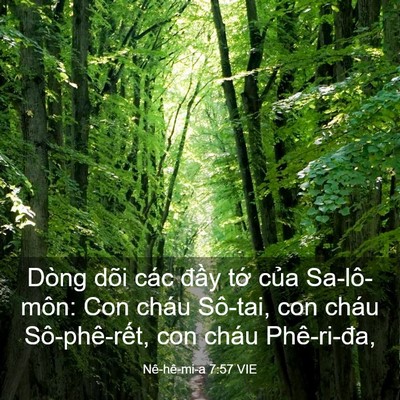 Picture 03 - Nê-hê-mi-a 7:57 VIE - Dòng dõi các đầy tớ của Sa-lô-môn: - Bible Verse Picture
