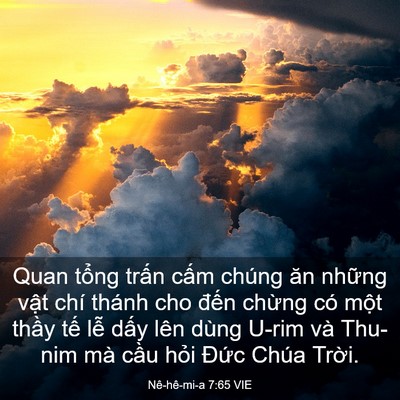 Picture 03 - Nê-hê-mi-a 7:65 VIE - Quan tổng trấn cấm chúng ăn những vật - Bible Verse Picture