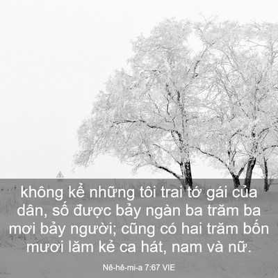 Picture 03 - Nê-hê-mi-a 7:67 VIE - không kể những tôi trai tớ gái của - Bible Verse Picture