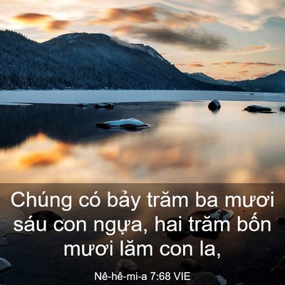 Picture 03 - Nê-hê-mi-a 7:68 VIE - Chúng có bảy trăm ba mươi sáu con ngựa, - Bible Verse Picture