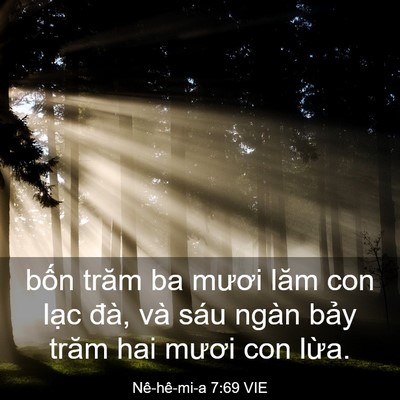 Picture 03 - Nê-hê-mi-a 7:69 VIE - bốn trăm ba mươi lăm con lạc đà, và - Bible Verse Picture