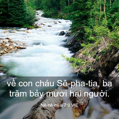 Picture 03 - Nê-hê-mi-a 7:9 VIE - về con cháu Sê-pha-tia, ba trăm bảy mươi - Bible Verse Picture