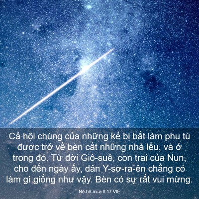 Picture 03 - Nê-hê-mi-a 8:17 VIE - Cả hội chúng của những kẻ bị bắt - Bible Verse Picture