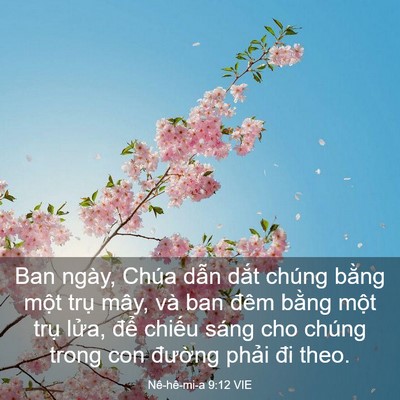 Picture 03 - Nê-hê-mi-a 9:12 VIE - Ban ngày, Chúa dẫn dắt chúng bằng một - Bible Verse Picture