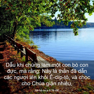 Picture 03 - Nê-hê-mi-a 9:18 VIE - Dẫu khi chúng làm một con bò con đực, - Bible Verse Picture