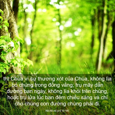 Picture 03 - Nê-hê-mi-a 9:19 VIE - thì Chúa vì sự thương xót của Chúa, - Bible Verse Picture