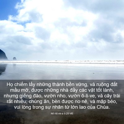 Picture 03 - Nê-hê-mi-a 9:25 VIE - Họ chiếm lấy những thành bền vững, - Bible Verse Picture