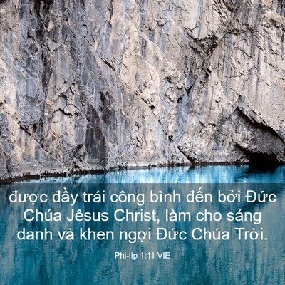 Picture 03 - Phi-líp 1:11 VIE - được đầy trái công bình đến bởi - Bible Verse Picture