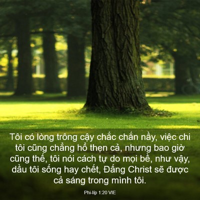 Picture 03 - Phi-líp 1:20 VIE - Tôi có lòng trông cậy chắc chắn nầy, - Bible Verse Picture