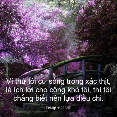 Picture 03 - Phi-líp 1:22 VIE - Ví thử tôi cứ sống trong xác thịt, là - Bible Verse Picture