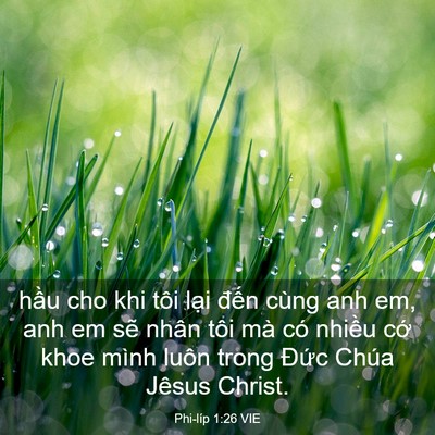 Picture 03 - Phi-líp 1:26 VIE - hầu cho khi tôi lại đến cùng anh em, anh - Bible Verse Picture
