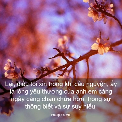 Picture 03 - Phi-líp 1:9 VIE - Lại, điều tôi xin trong khi cầu nguyện, - Bible Verse Picture