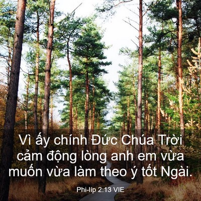 Picture 03 - Phi-líp 2:13 VIE - Vì ấy chính Đức Chúa Trời cảm động - Bible Verse Picture