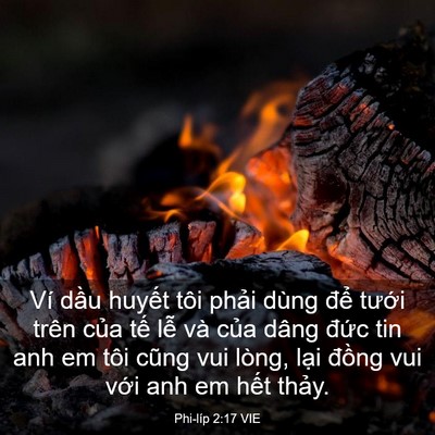 Picture 03 - Phi-líp 2:17 VIE - Ví dầu huyết tôi phải dùng để tưới - Bible Verse Picture