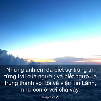 Picture 03 - Phi-líp 2:22 VIE - Nhưng anh em đã biết sự trung tín từng - Bible Verse Picture