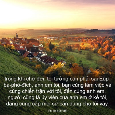 Picture 03 - Phi-líp 2:25 VIE - trong khi chờ đợi, tôi tưởng cần - Bible Verse Picture